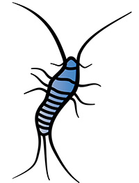 Silverfish Software logo